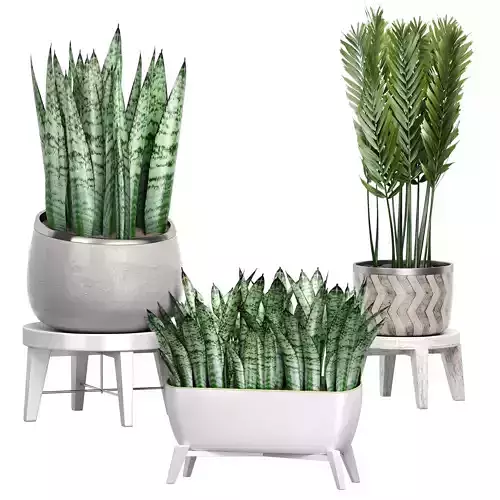 Potted plants Set 47