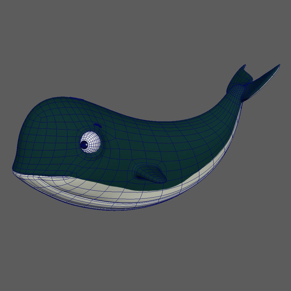 Whale Cartoon 3D model_13