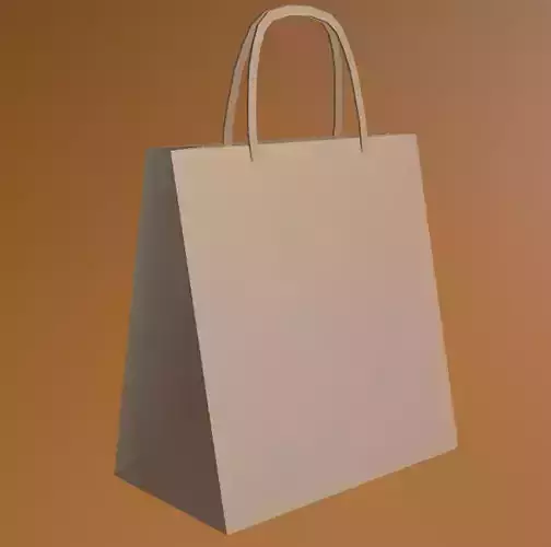 paper Bag