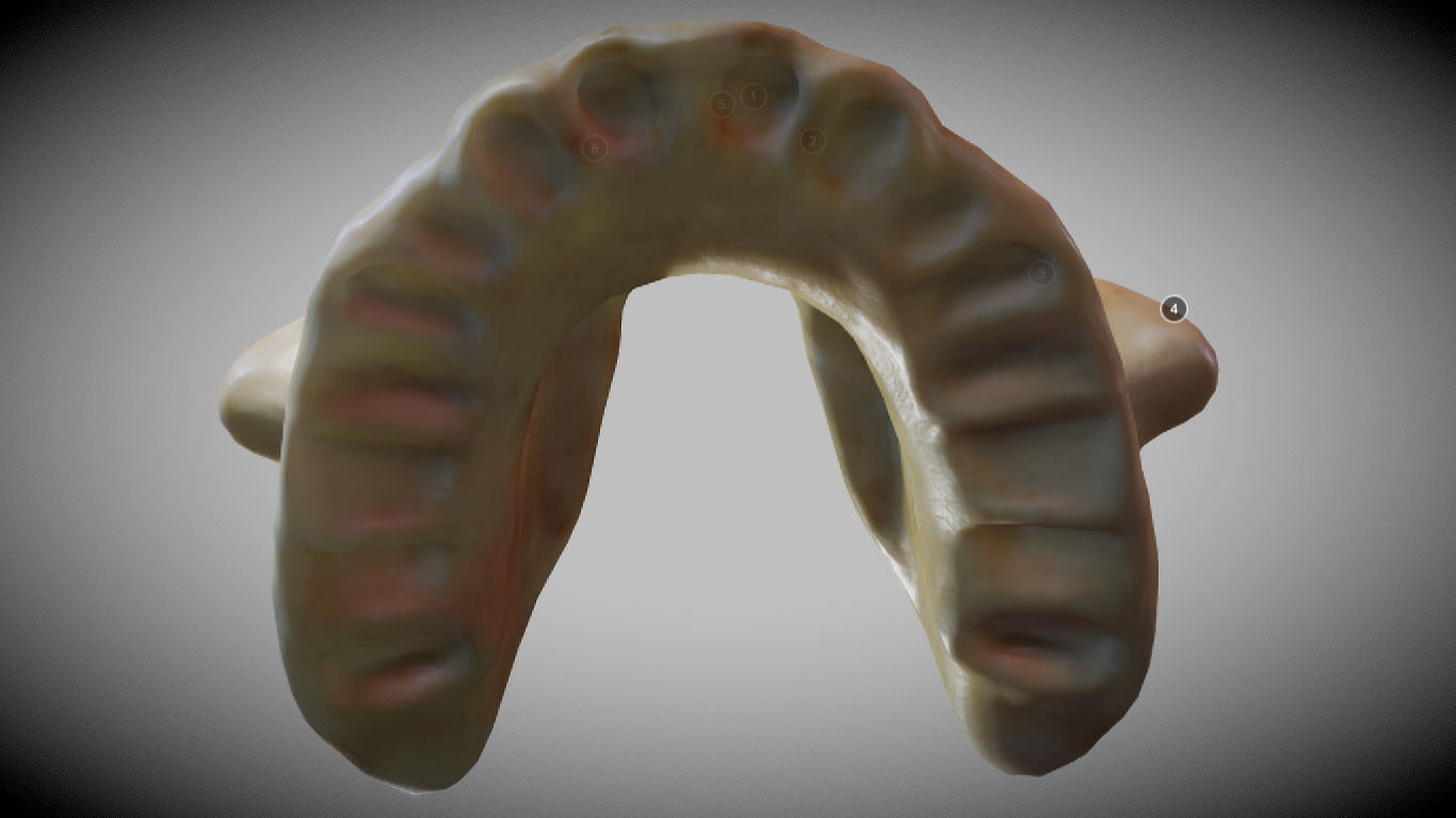 Human Maxilla Bone Low-poly 3D model_13