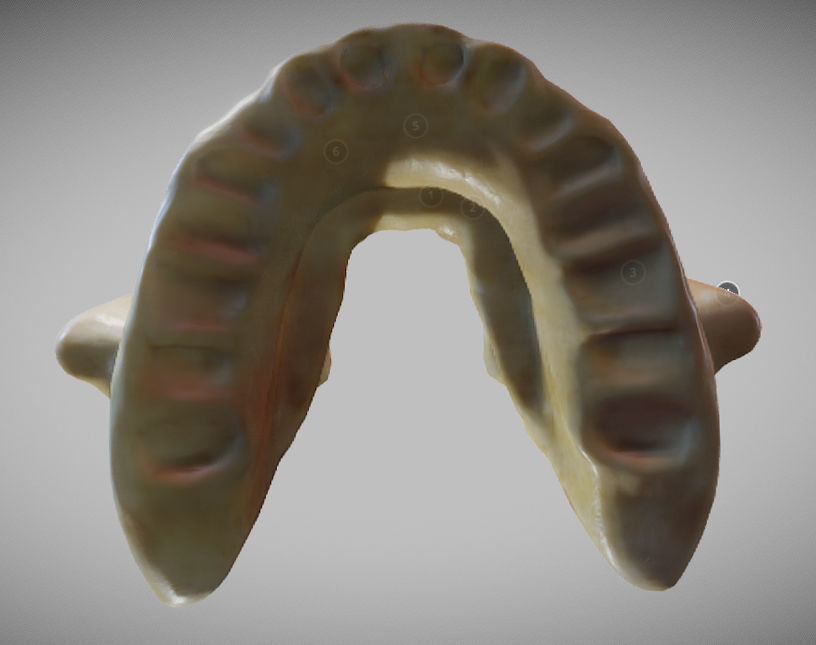 Human Maxilla Bone Low-poly 3D model_6
