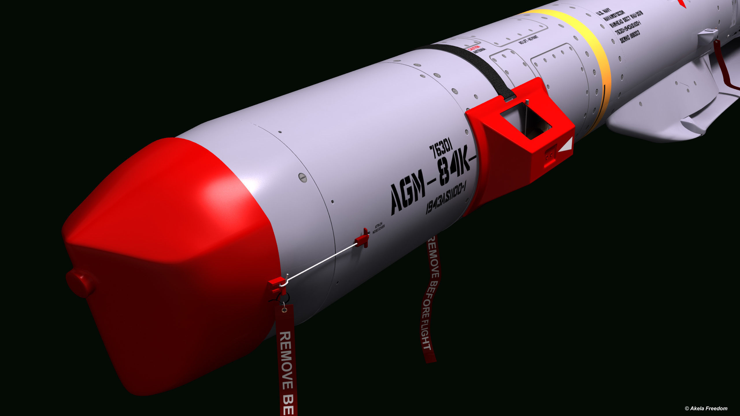 AGM-84K SLAM-ER v2 3D model_4