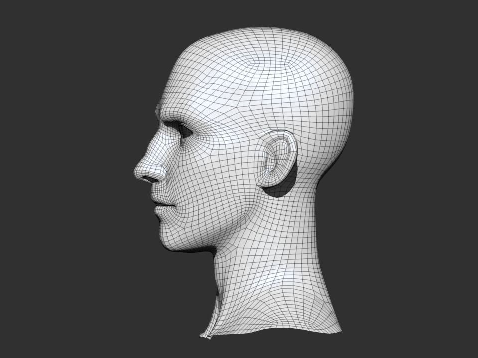 Stylized man head free 3D model | CGTrader
