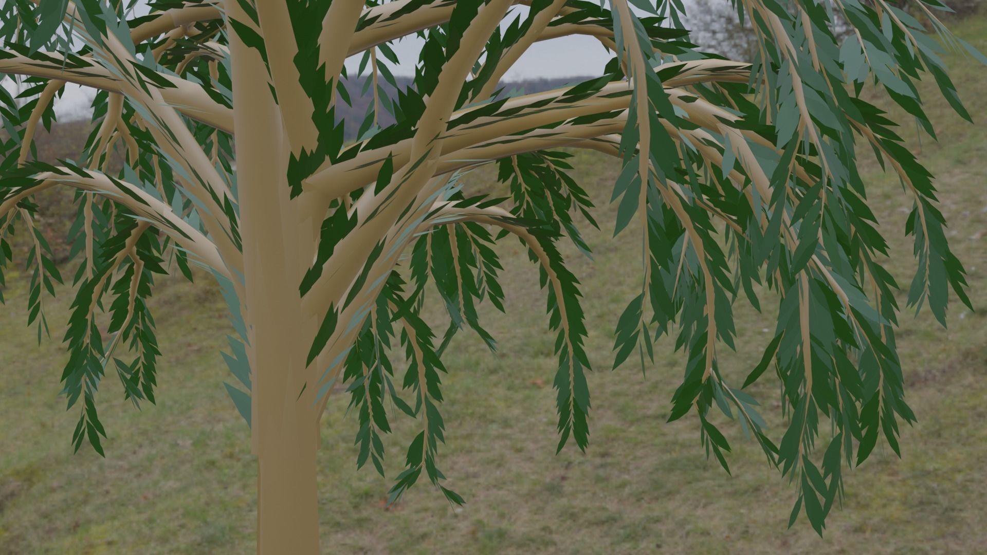 Great Willow 3D model_9