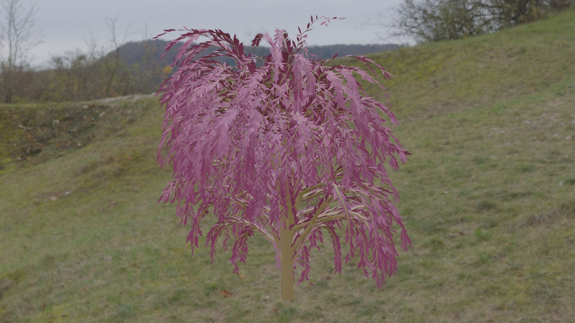 Great Willow 3D model_5