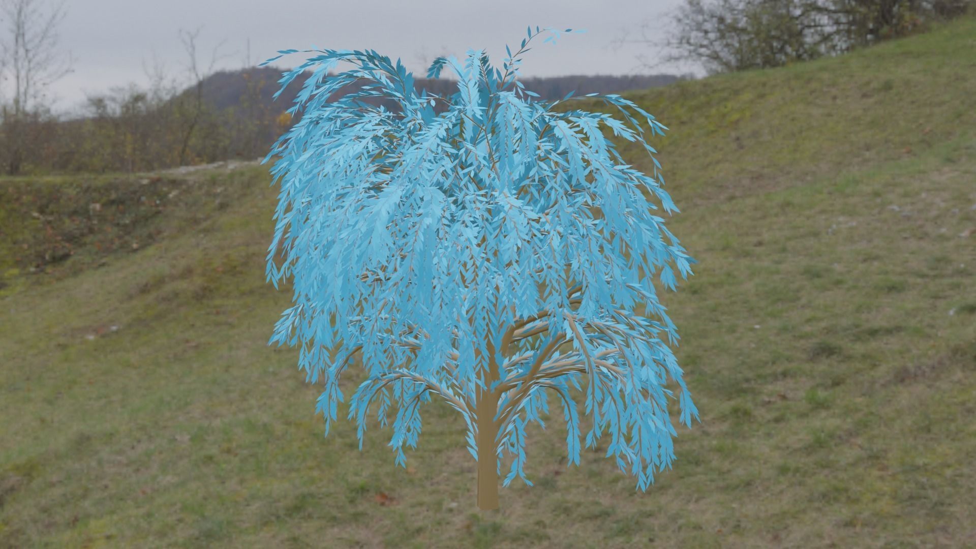 Great Willow 3D model_7