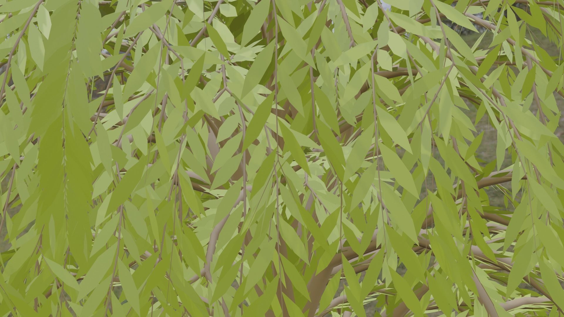 Great Willow 3D model_8