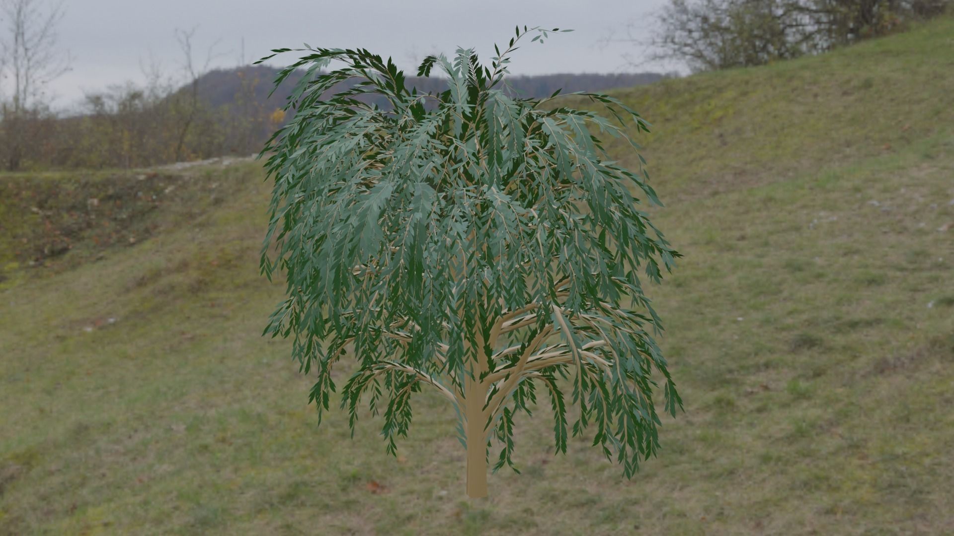Great Willow 3D model_1