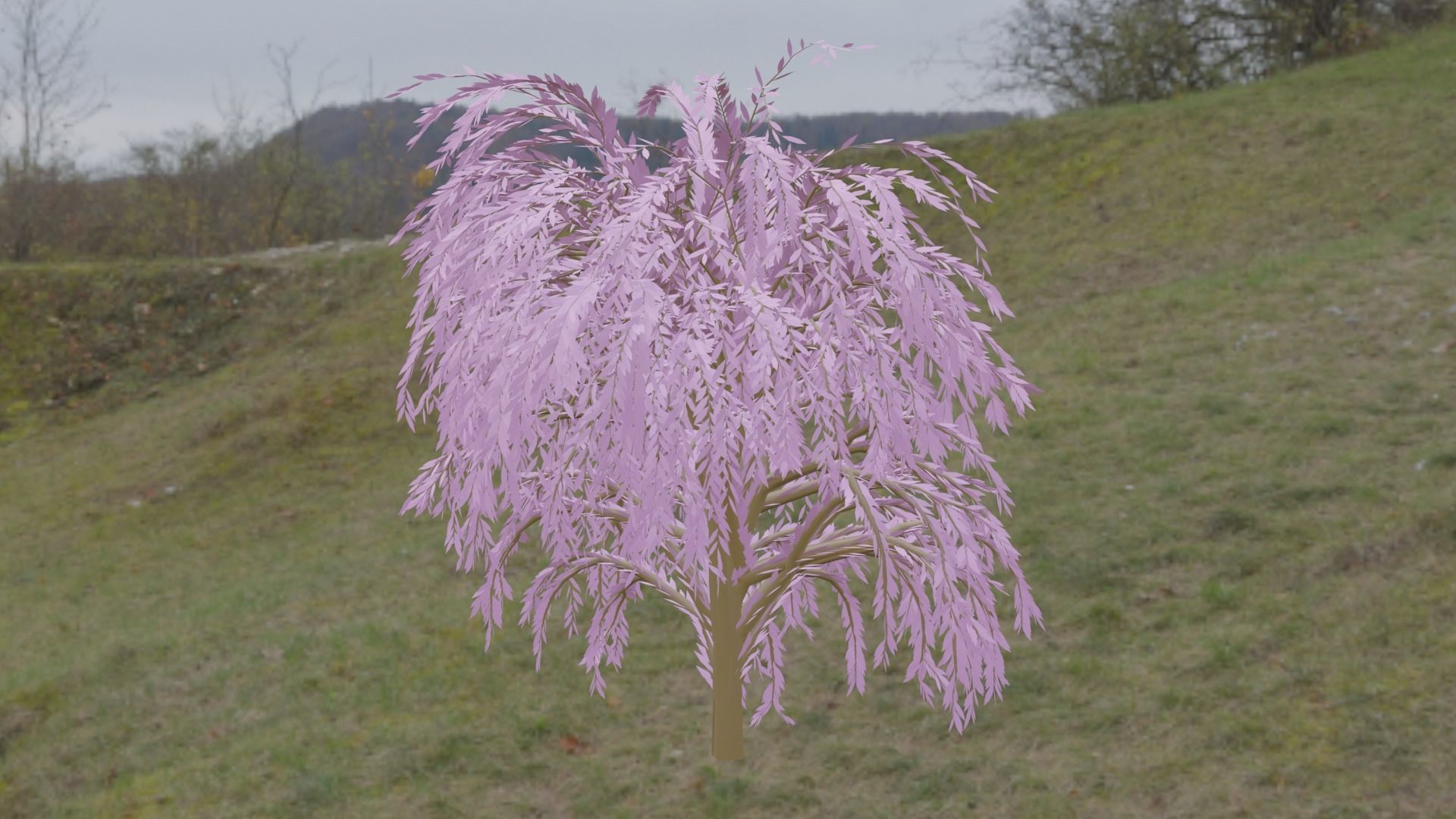 Great Willow 3D model_6