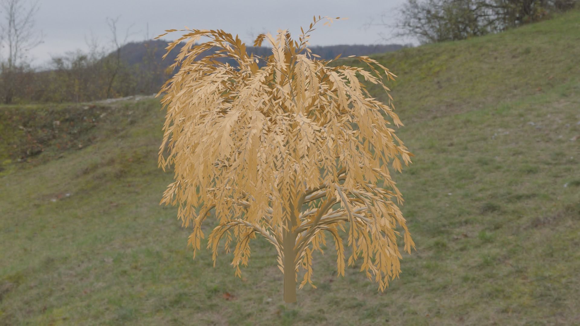 Great Willow 3D model_3
