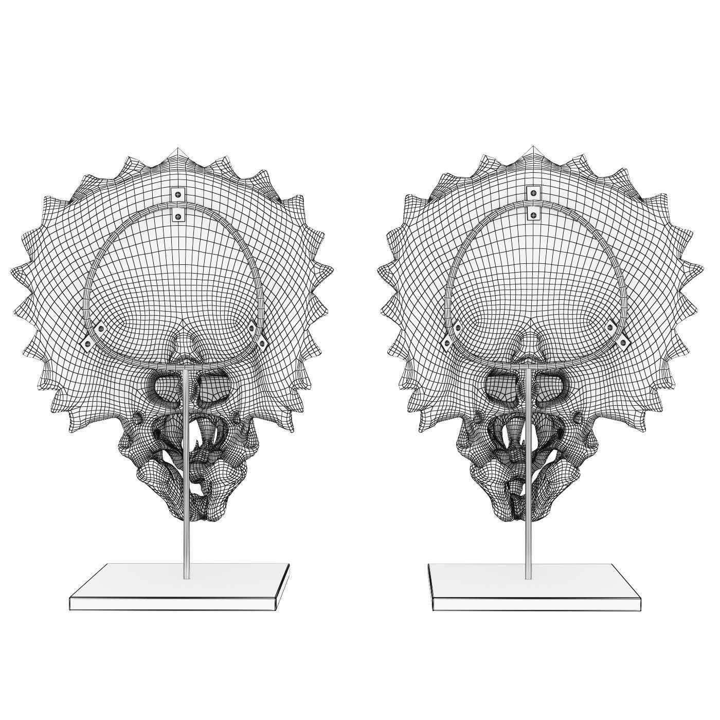 Triceratops skull 3D model_6