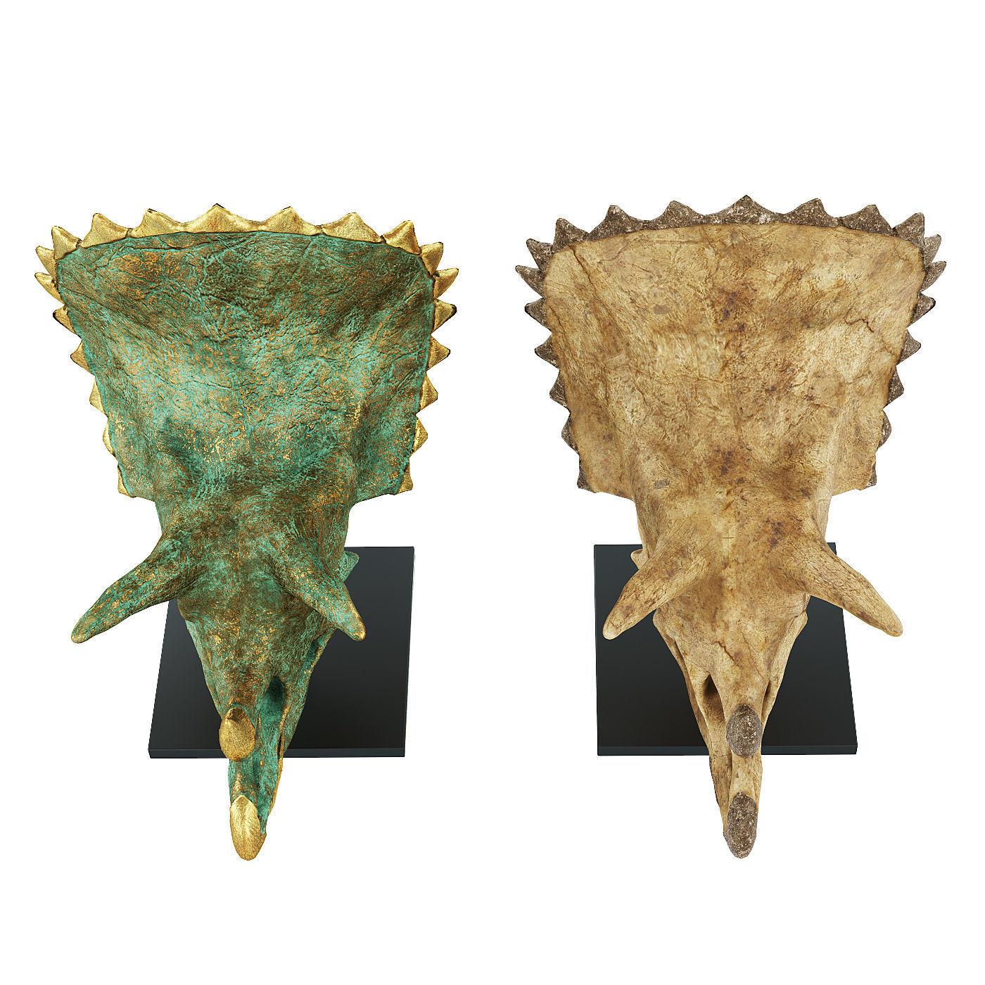 Triceratops skull 3D model_3