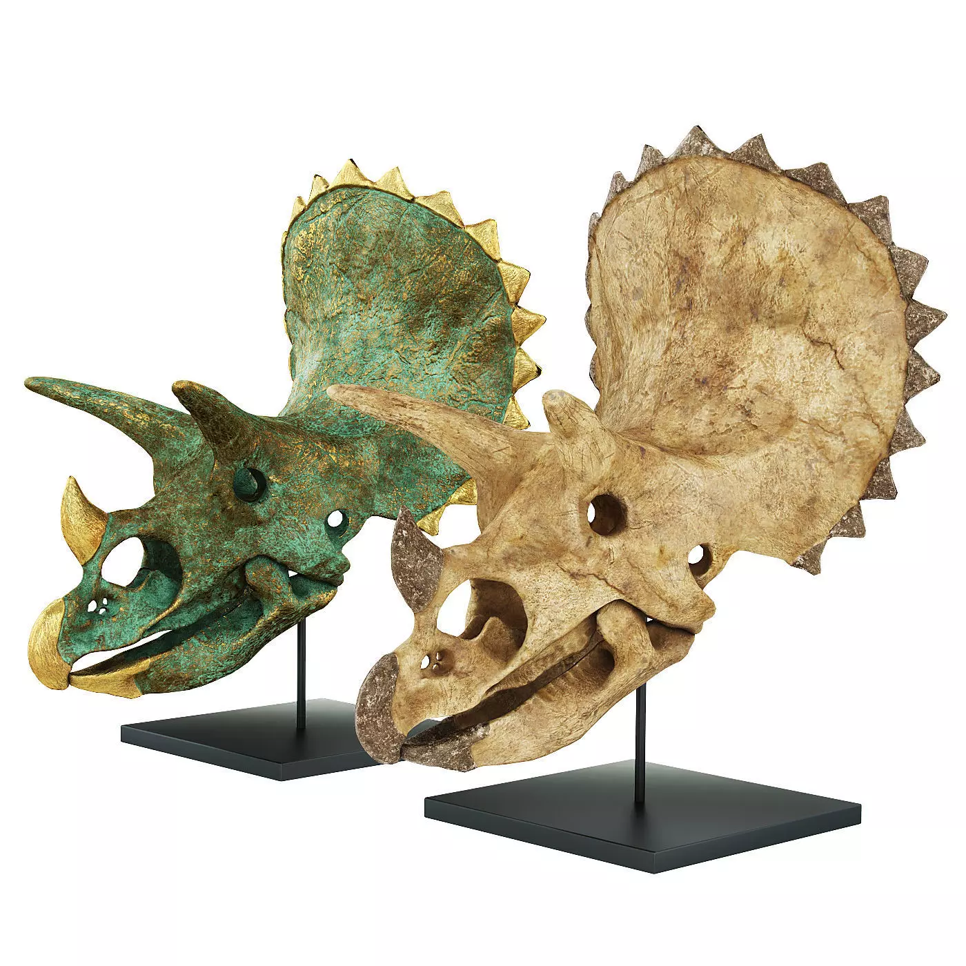 Triceratops skull 3D model_0