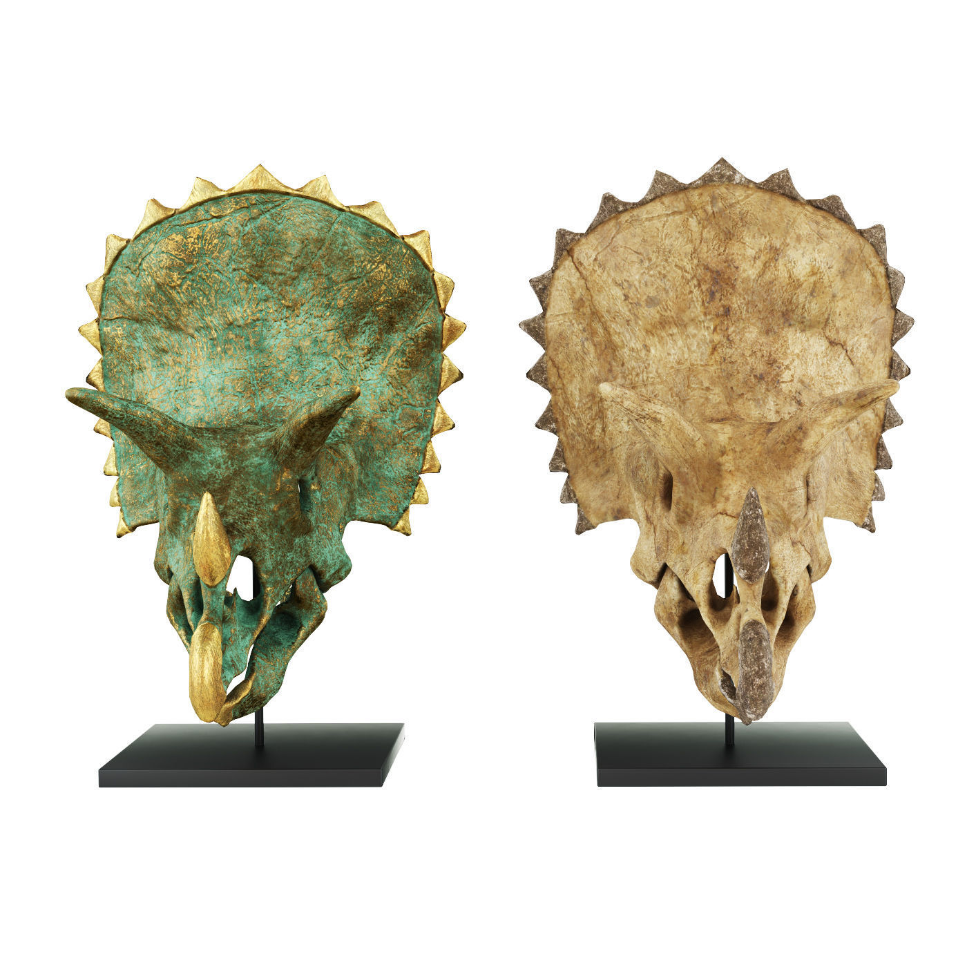 Triceratops skull 3D model_1