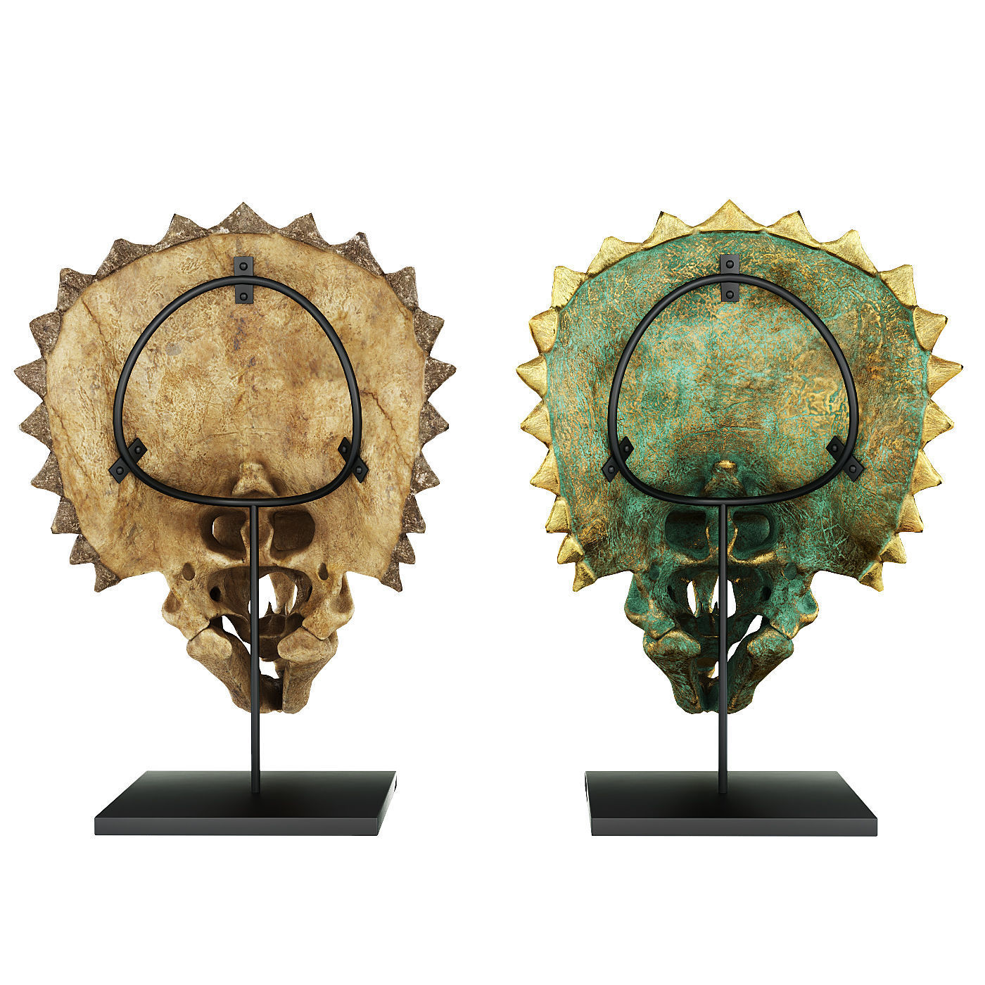 Triceratops skull 3D model_2