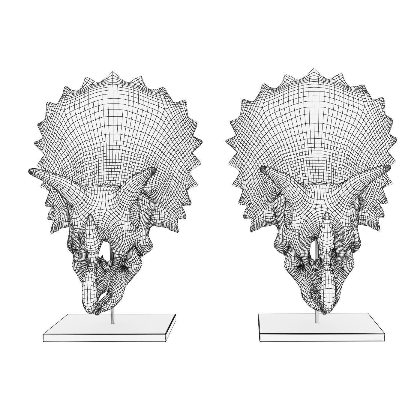 Triceratops skull 3D model_4