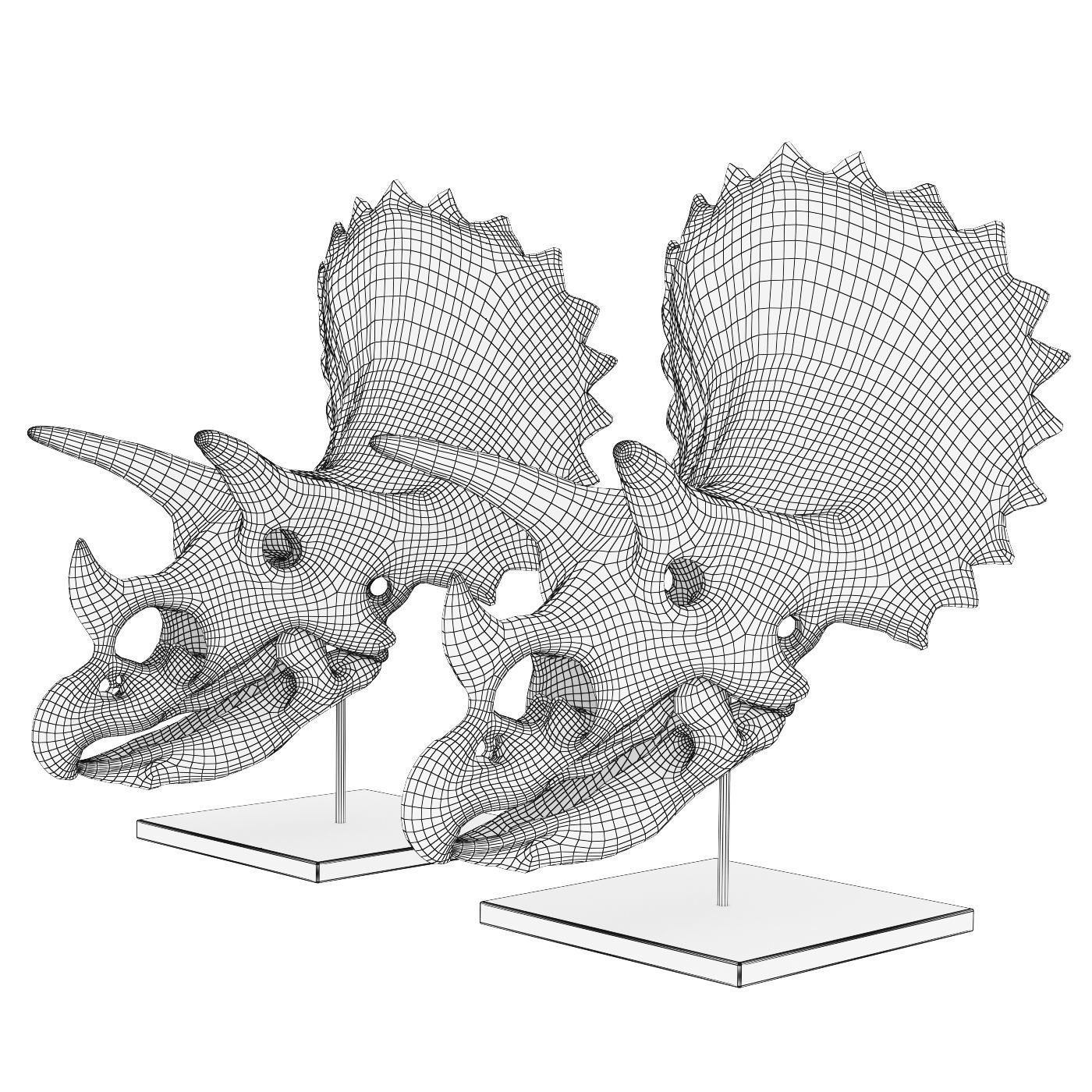 Triceratops skull 3D model_5