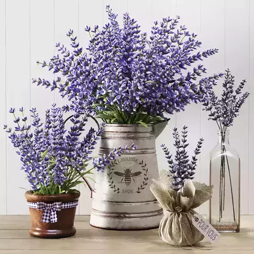  Lavender Still Life 3D model