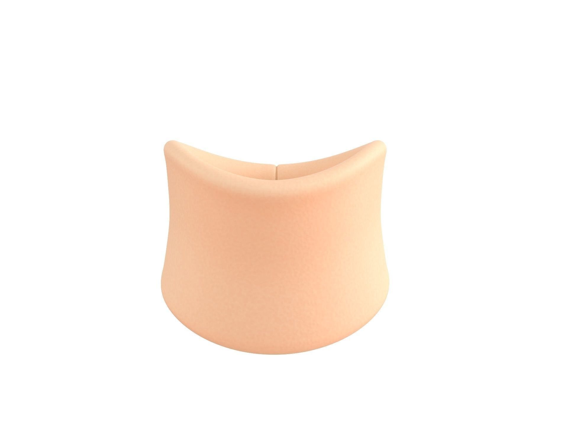 Soft Collar 3D model_1