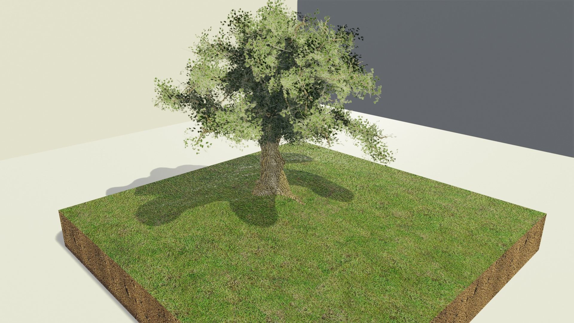 low poly tree and dead tree Low-poly 3D model_4