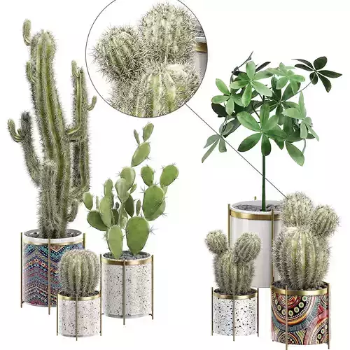 Potted plants Set 18