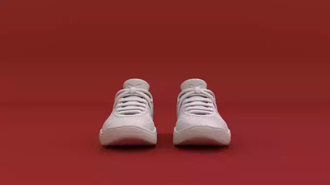 Basketball Shoes 3D model