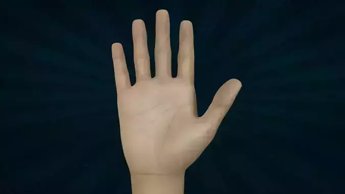 HAND-007 Rigged Right Hand