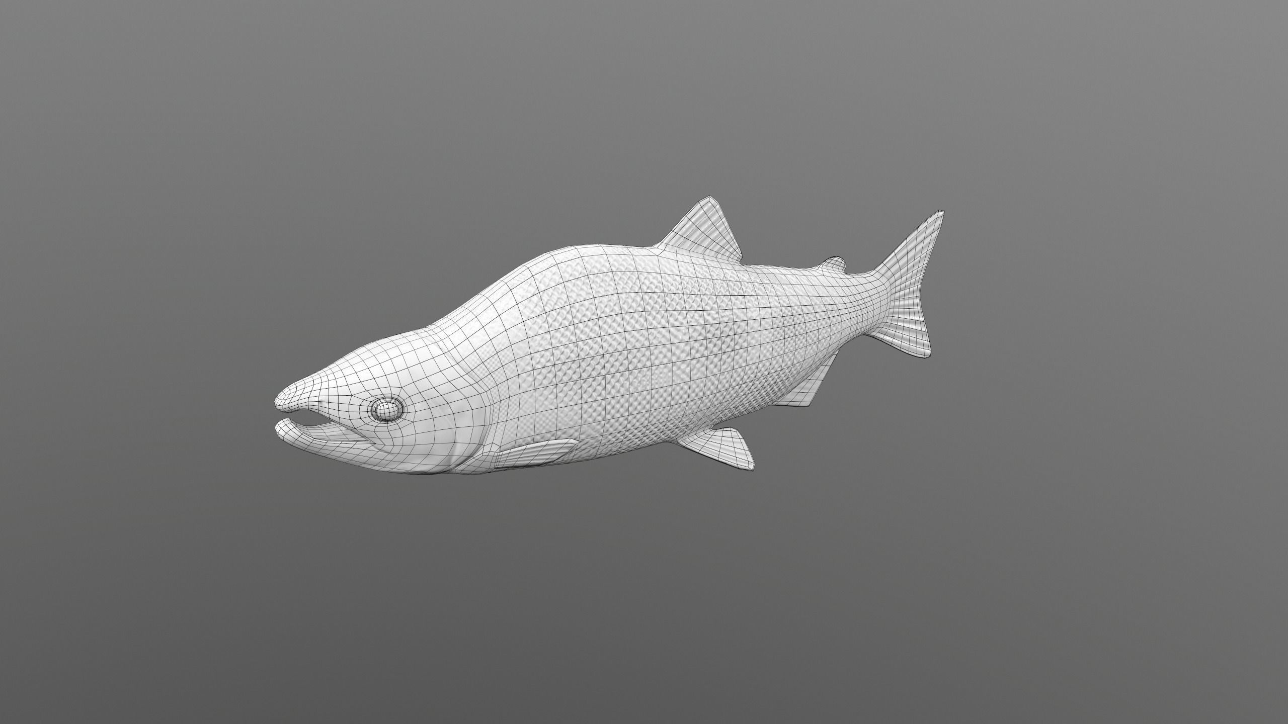 pink salmon Low-poly 3D model_10