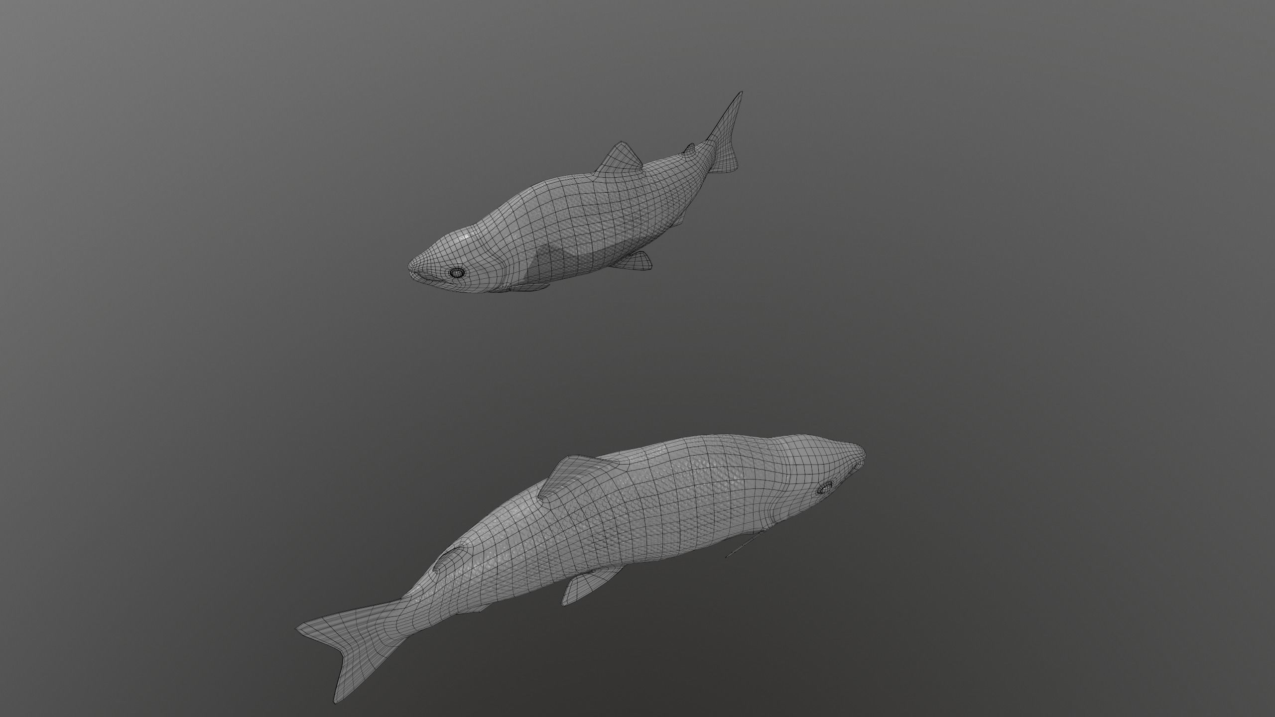 pink salmon Low-poly 3D model_9
