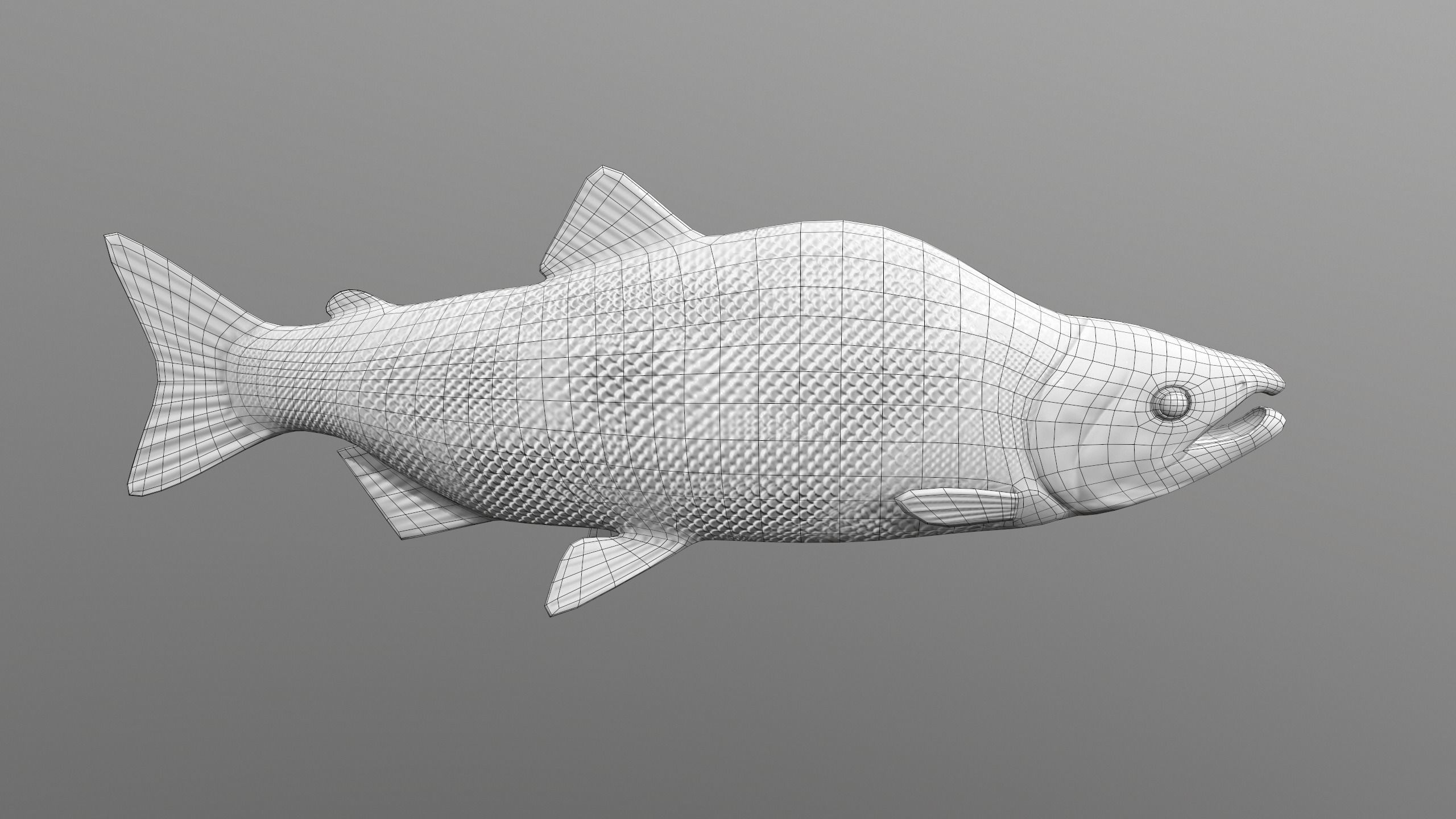 pink salmon Low-poly 3D model_11