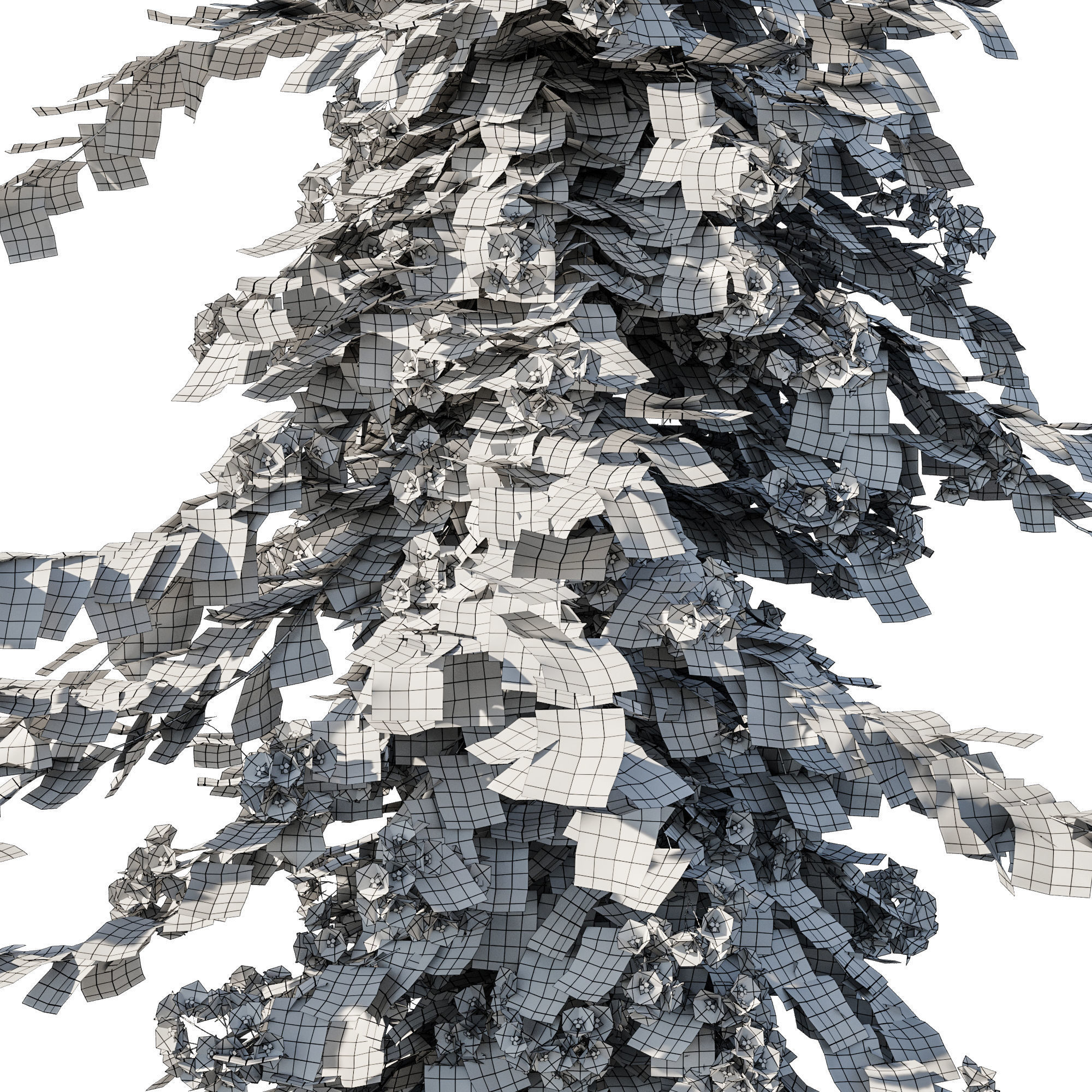 Bougainvillea collection 02 3D model_2