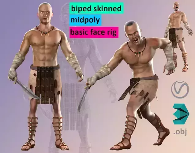 Warrior Hero Medieval Human Male Character