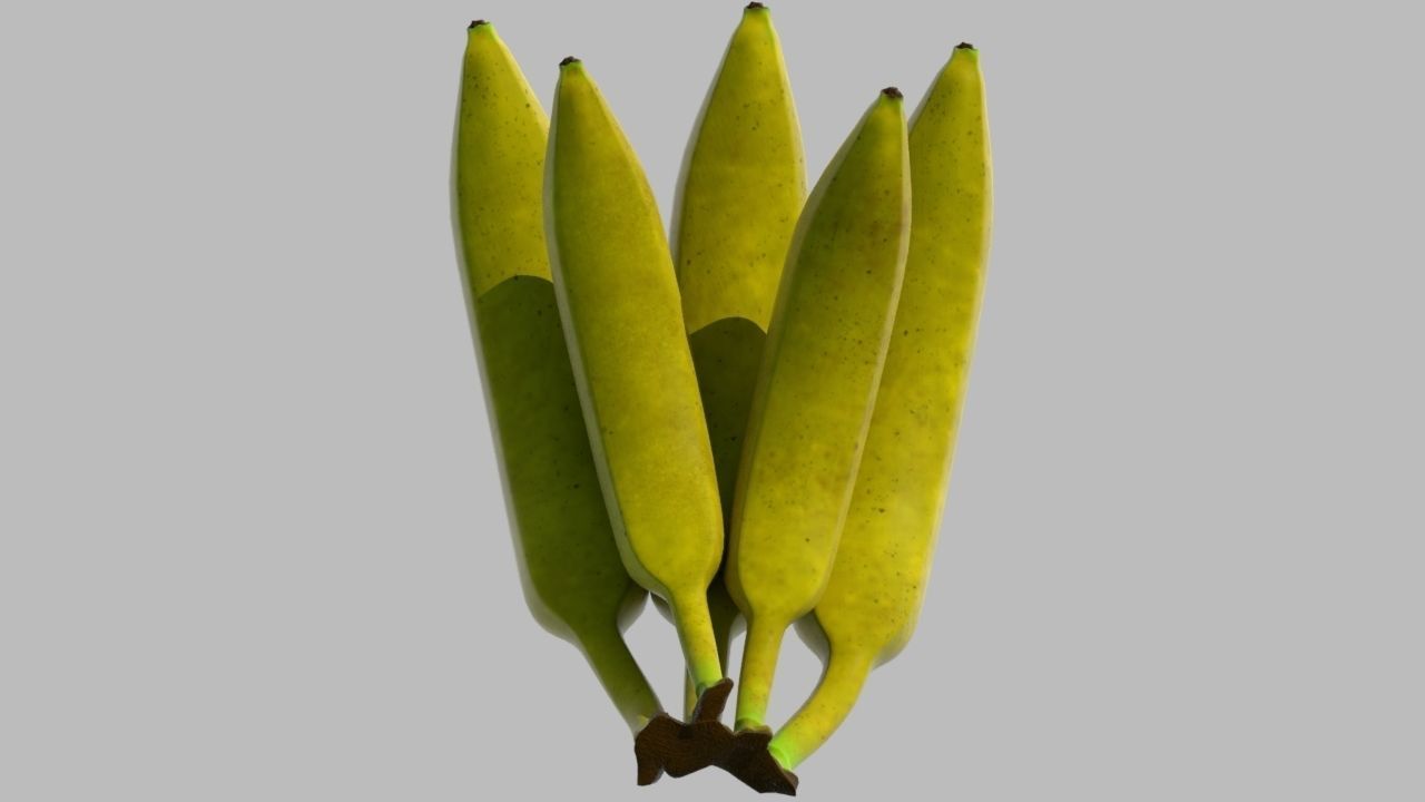 Banana bananas 3D model_4
