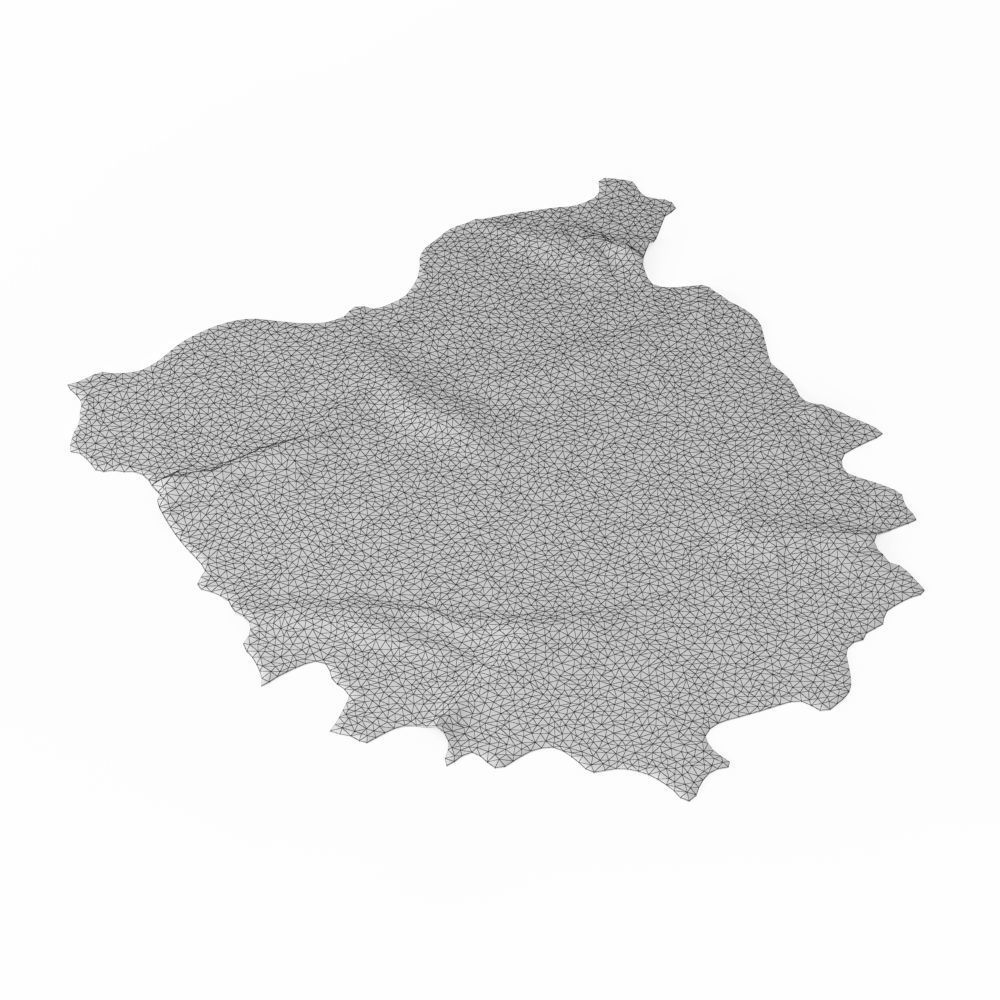 Brown And Black Zebra Cowhide Rug 3D model_5