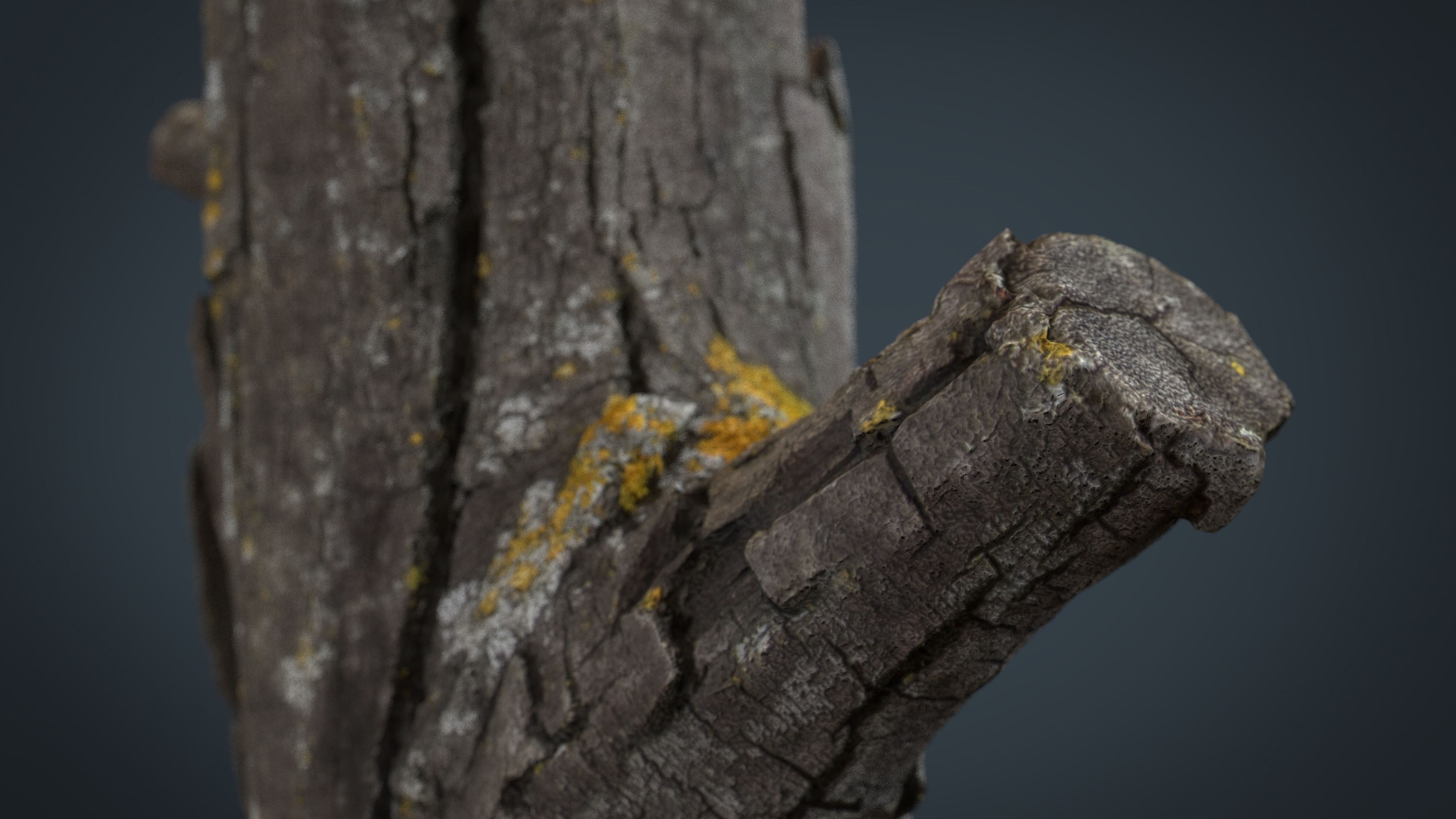 Wood Log 4 Low-poly 3D model_3