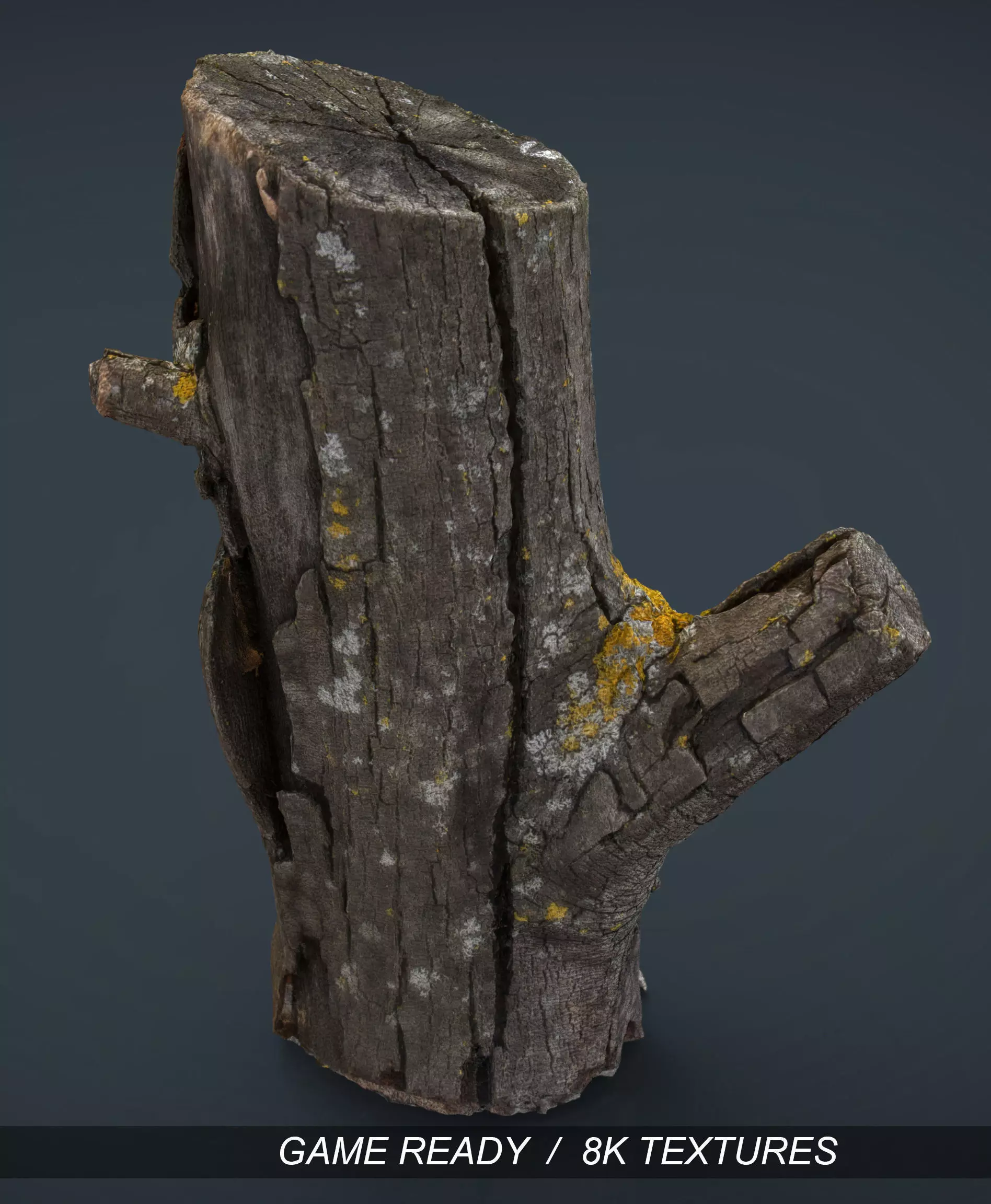 Wood Log 4 Low-poly 3D model_0