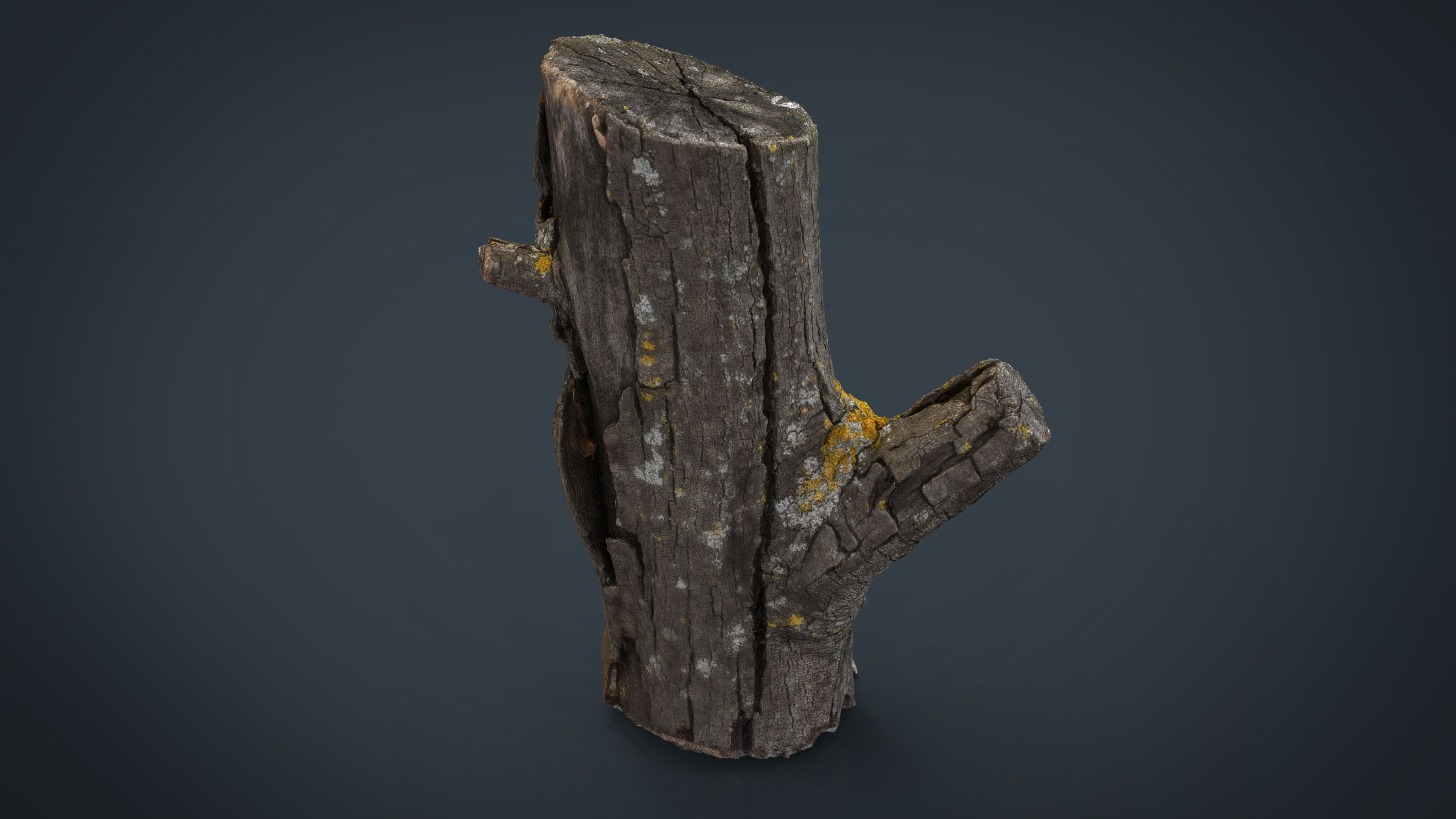 Wood Log 4 Low-poly 3D model_11