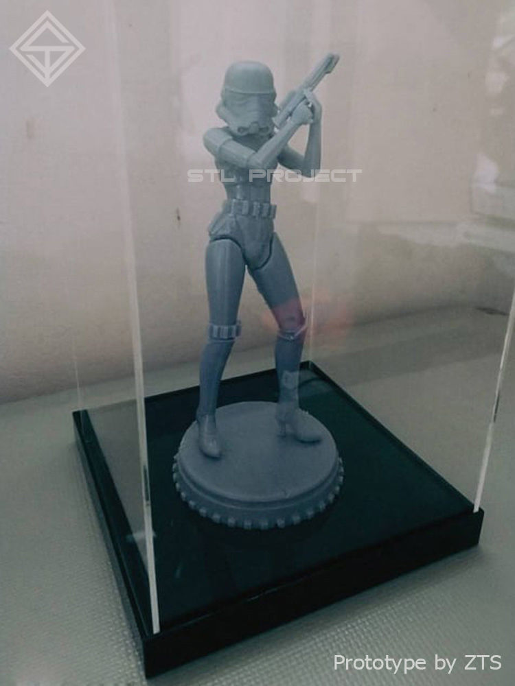 Trooper Female Suit 3D print model_5