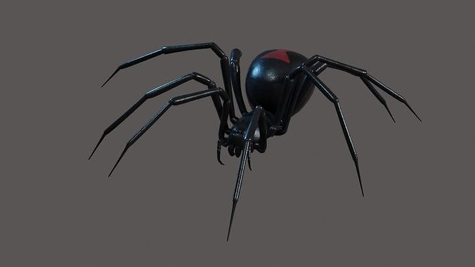 Black widow spider animating 3D model