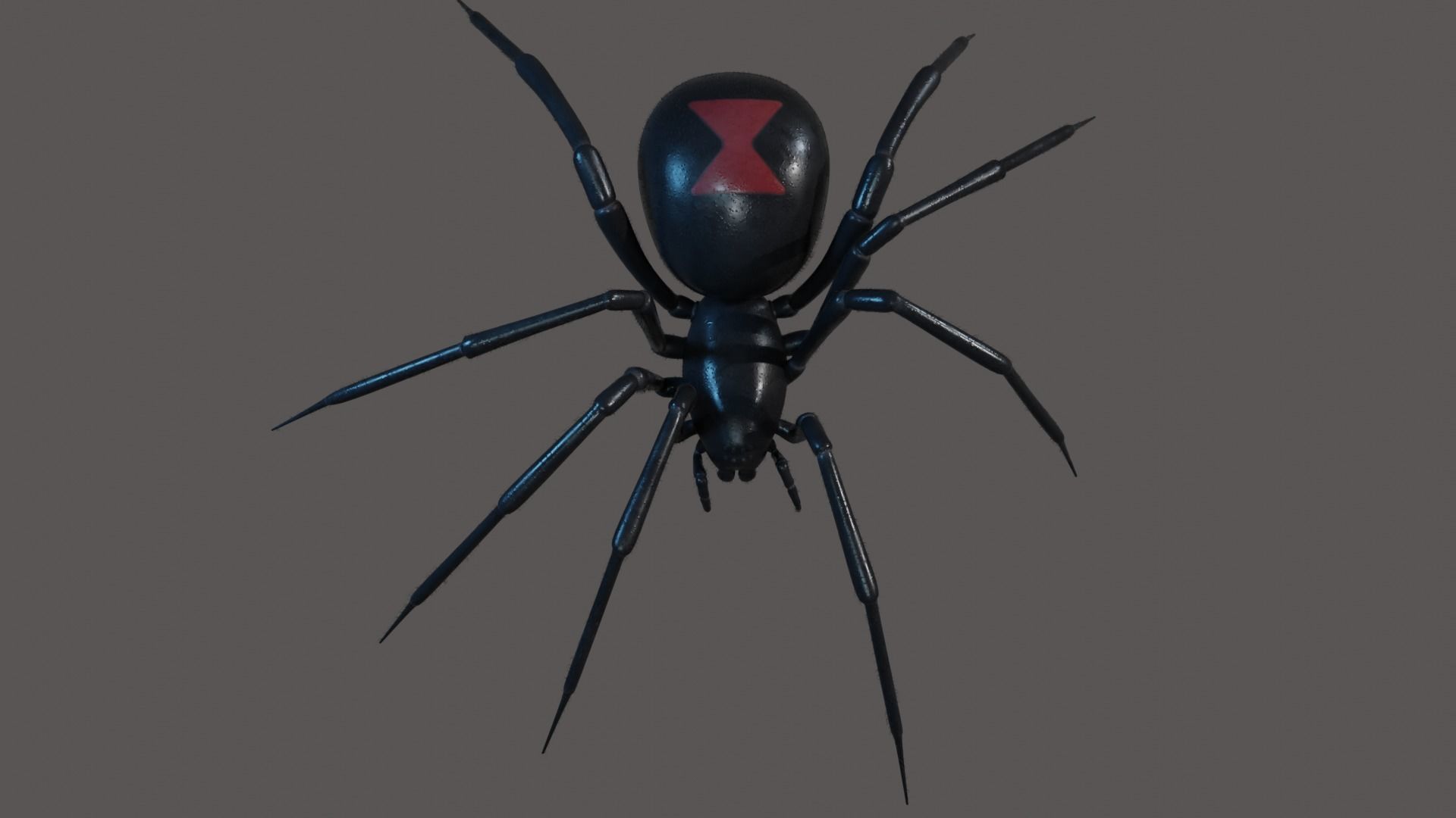Black widow spider animating 3D model_5