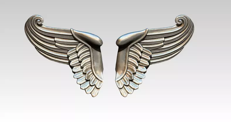Wing bird angel pair 3D print model_0