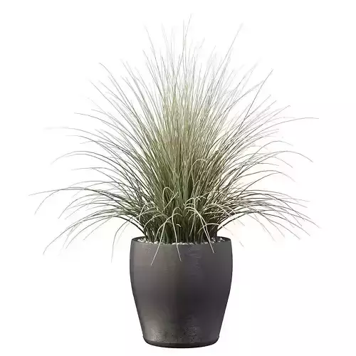 Grass artificial plant in pot 3D model