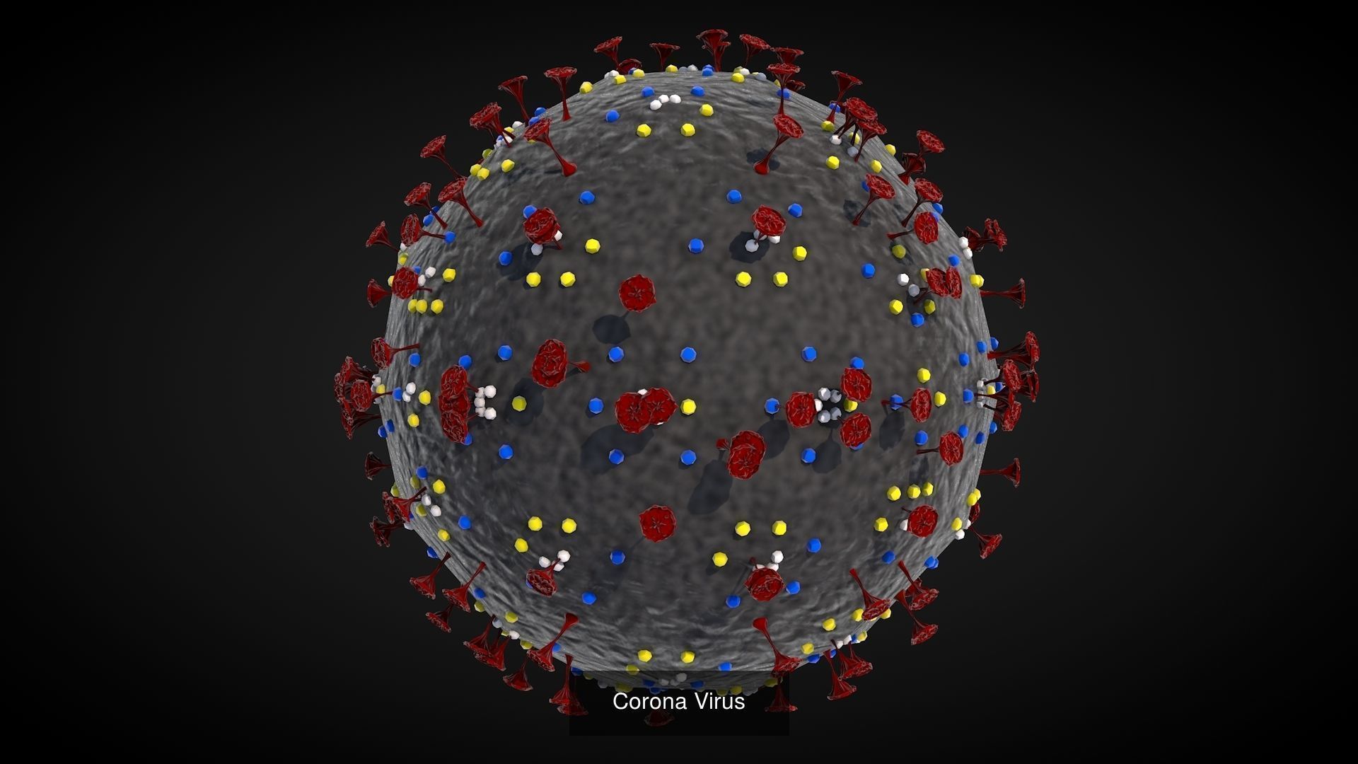 Virus Models 3D Model Collection_11