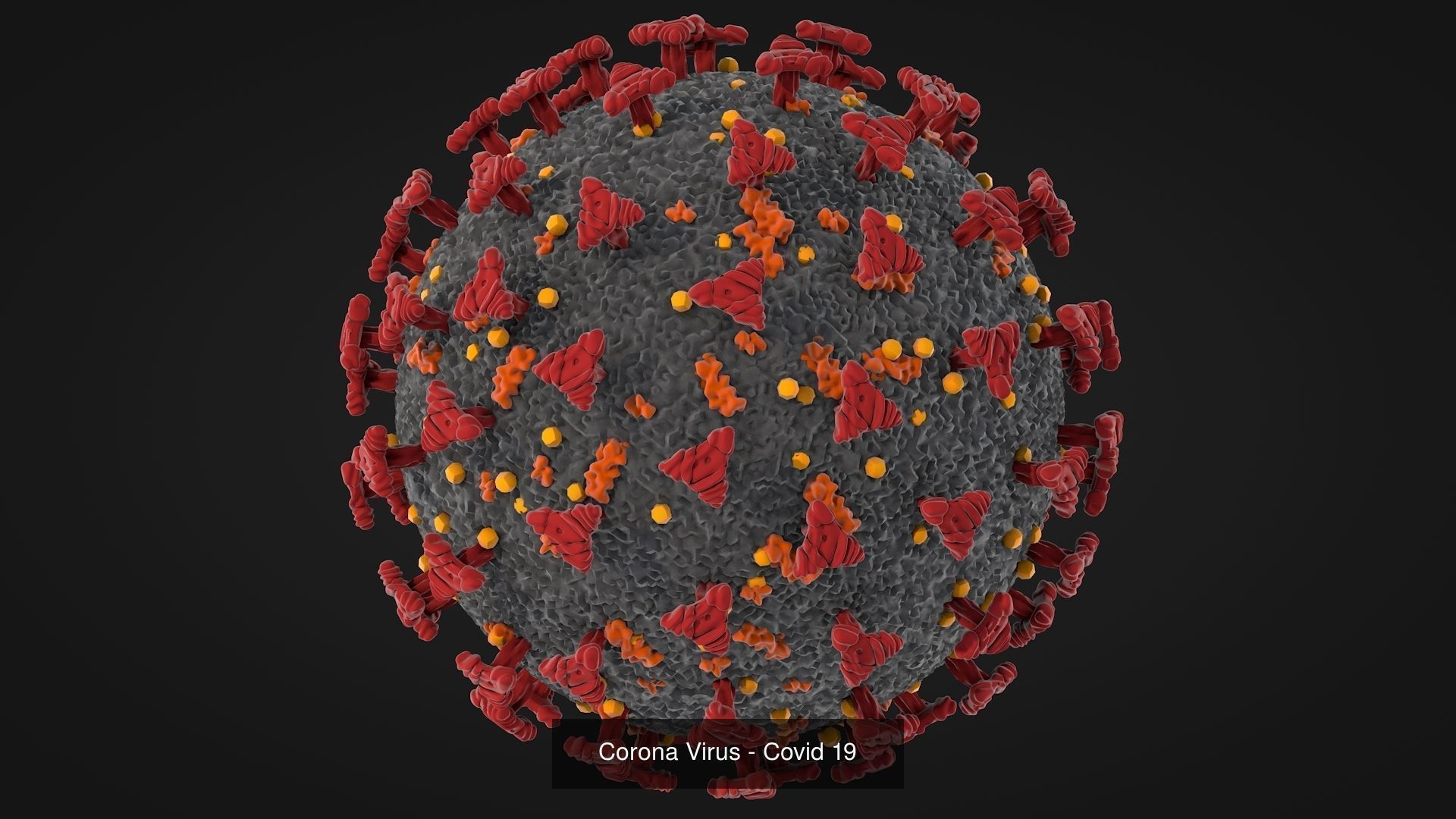 Virus Models 3D Model Collection_12
