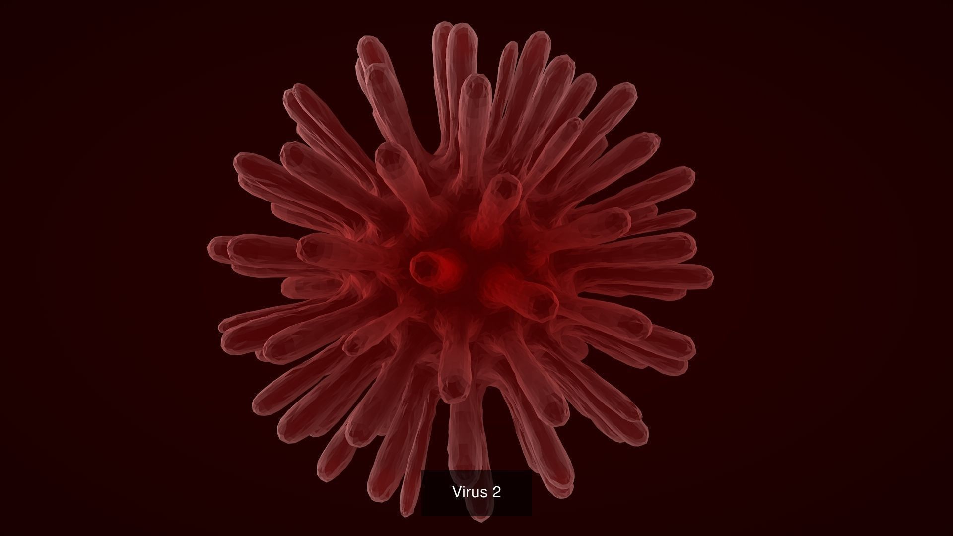 Virus Models 3D Model Collection_7