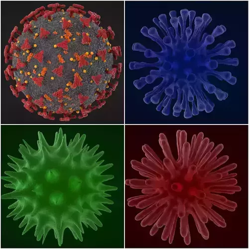 Virus Models 3D Model Collection