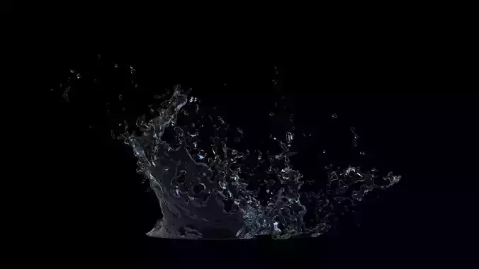 Water Splash 3D model