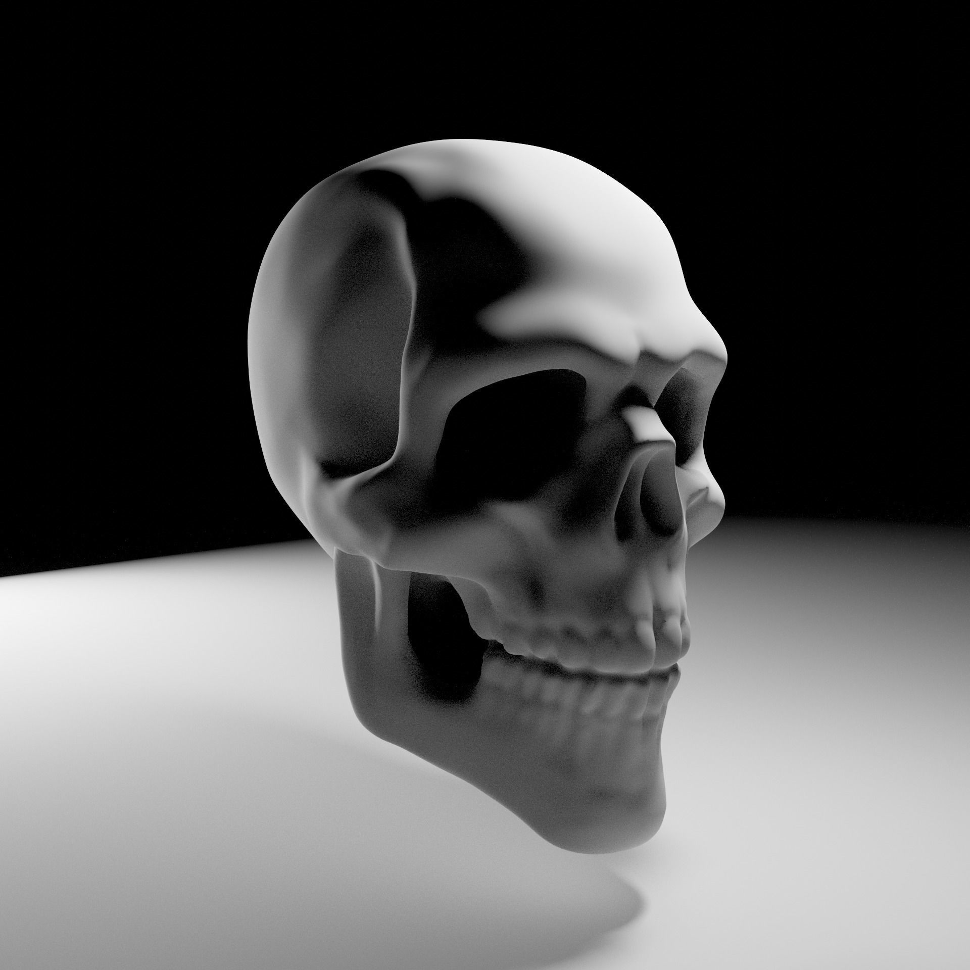 Anatomy Skull head 3D model_1