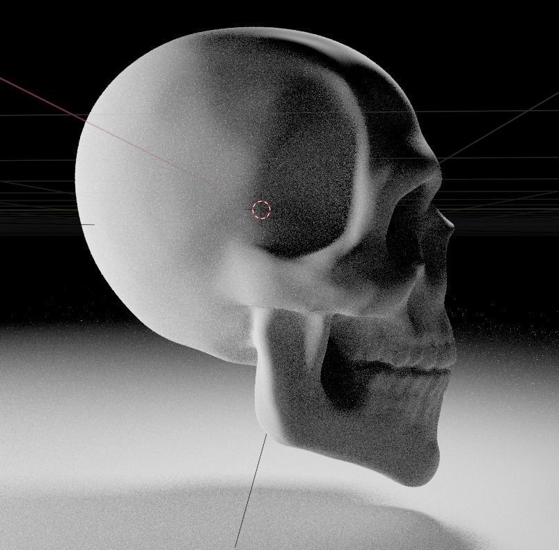 Anatomy Skull head 3D model_3