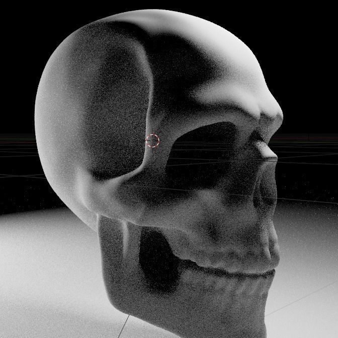 Anatomy Skull head 3D model_2